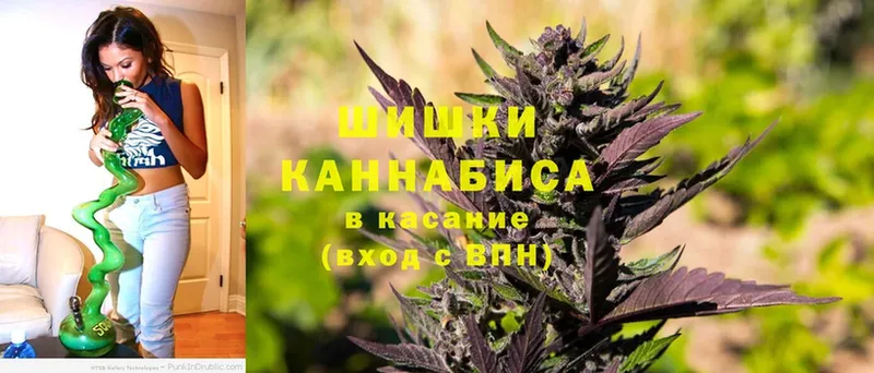 купить закладку  Тамбов  OMG   Каннабис Ganja 